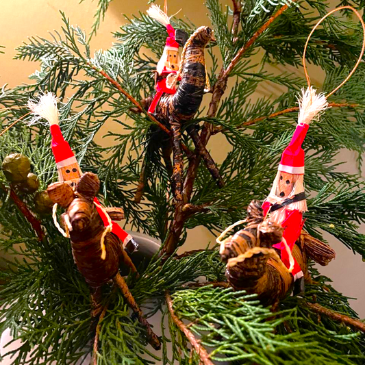 Father Christmas on a Camel