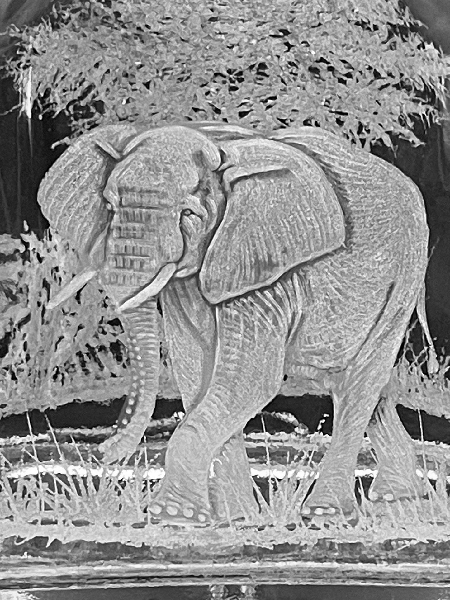 Bottles, Engraved with Elephant