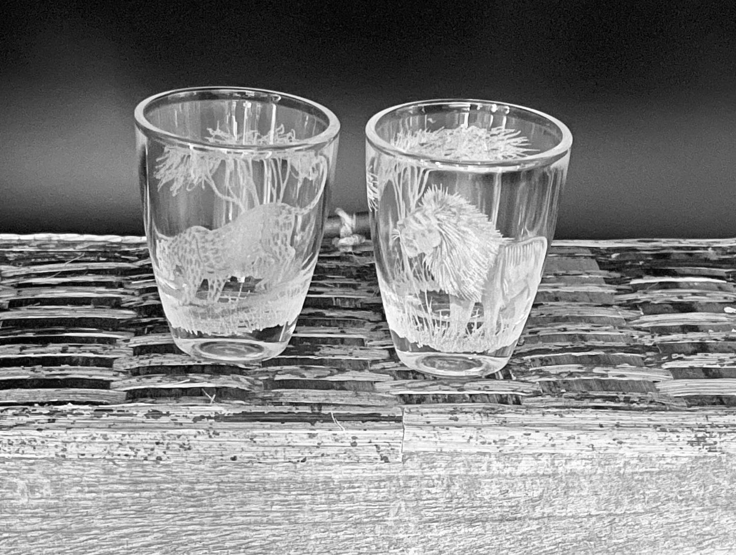 Shot Glasses Engraved with BIG FIVE African Animals plus Giraffe