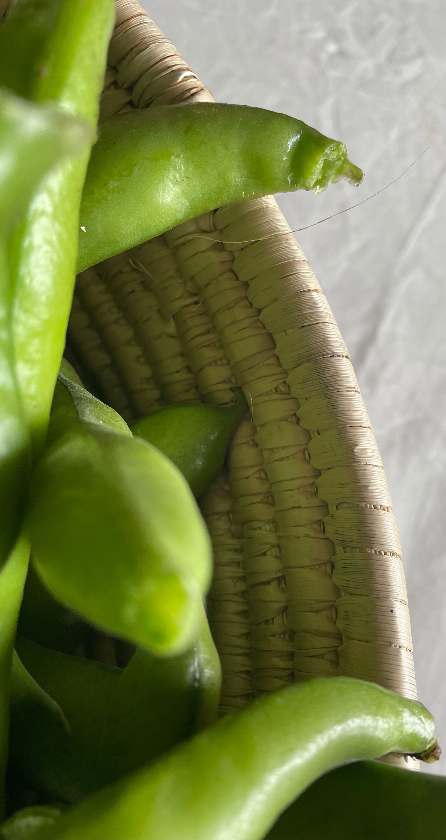 Turkana Bowls Extra Large
