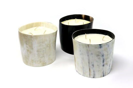 Ankole Cow Horn Candles in Banana Fibre Box, various sizes