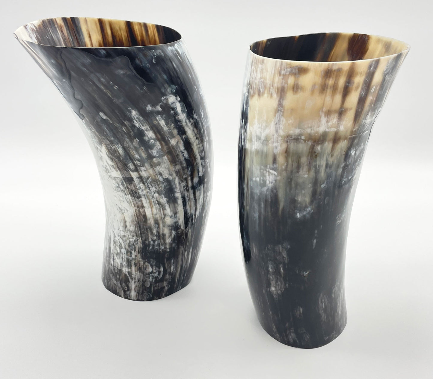 Ankole Cow Horn Vase, various sizes