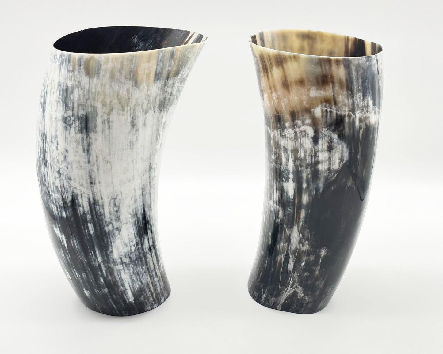 Ankole Cow Horn Vase, various sizes