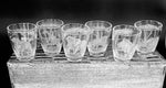 Shot Glasses Engraved with African Animals