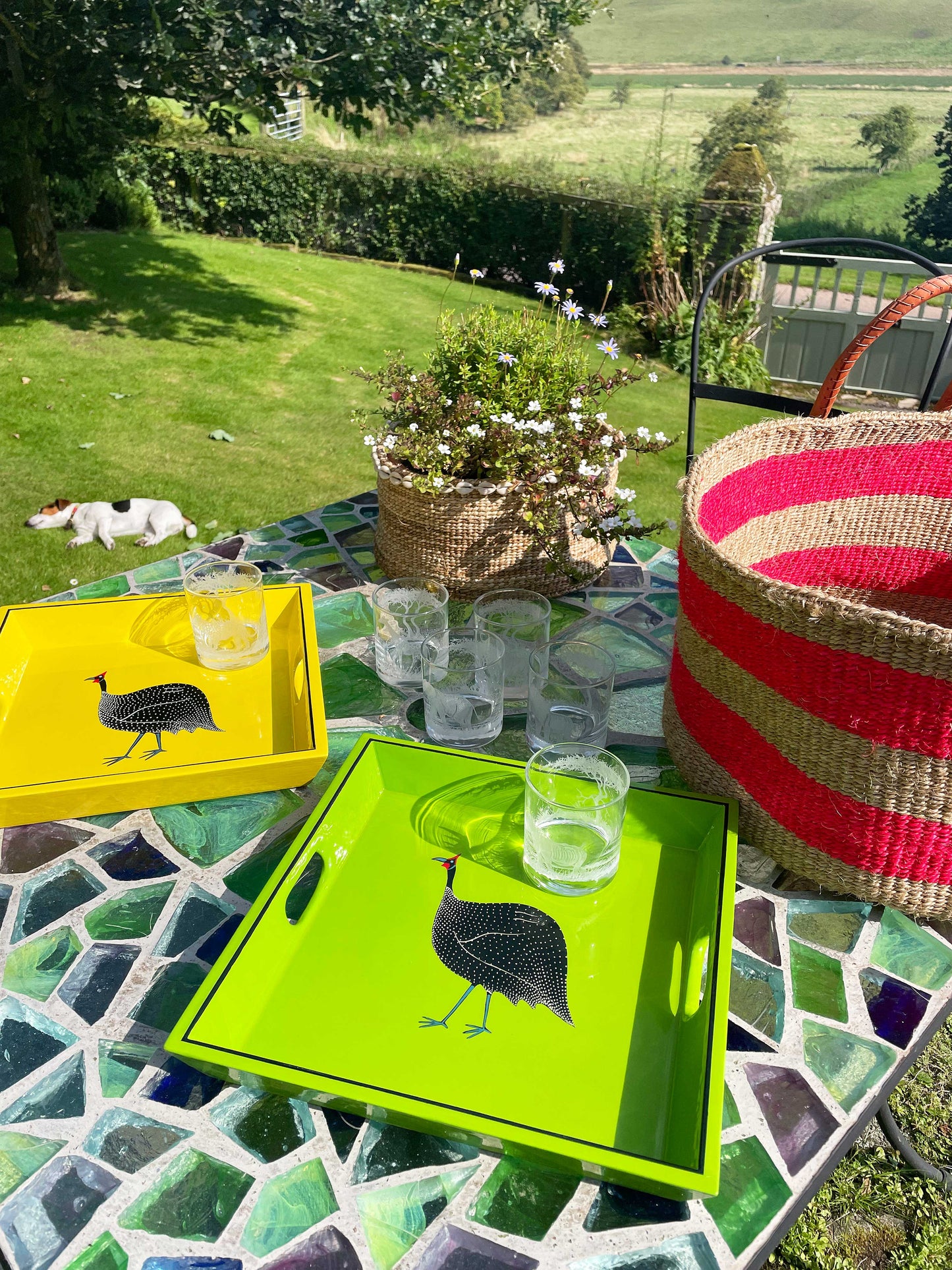 Square Tray, Guinea Fowl on Yellow