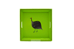 Square Tray Guinea Fowl on Lime Green