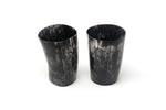 Ankole Cow Horn pen pots / vases