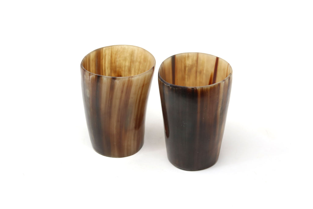 Ankole Cow Horn pen pots / vases